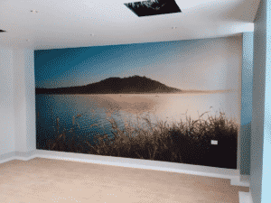Belmont Hospital Art - Wall Graphics Newcastle - Big Colour